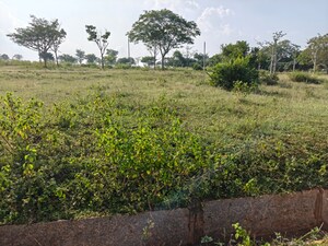  Plot For Sale in Huyilalu Road