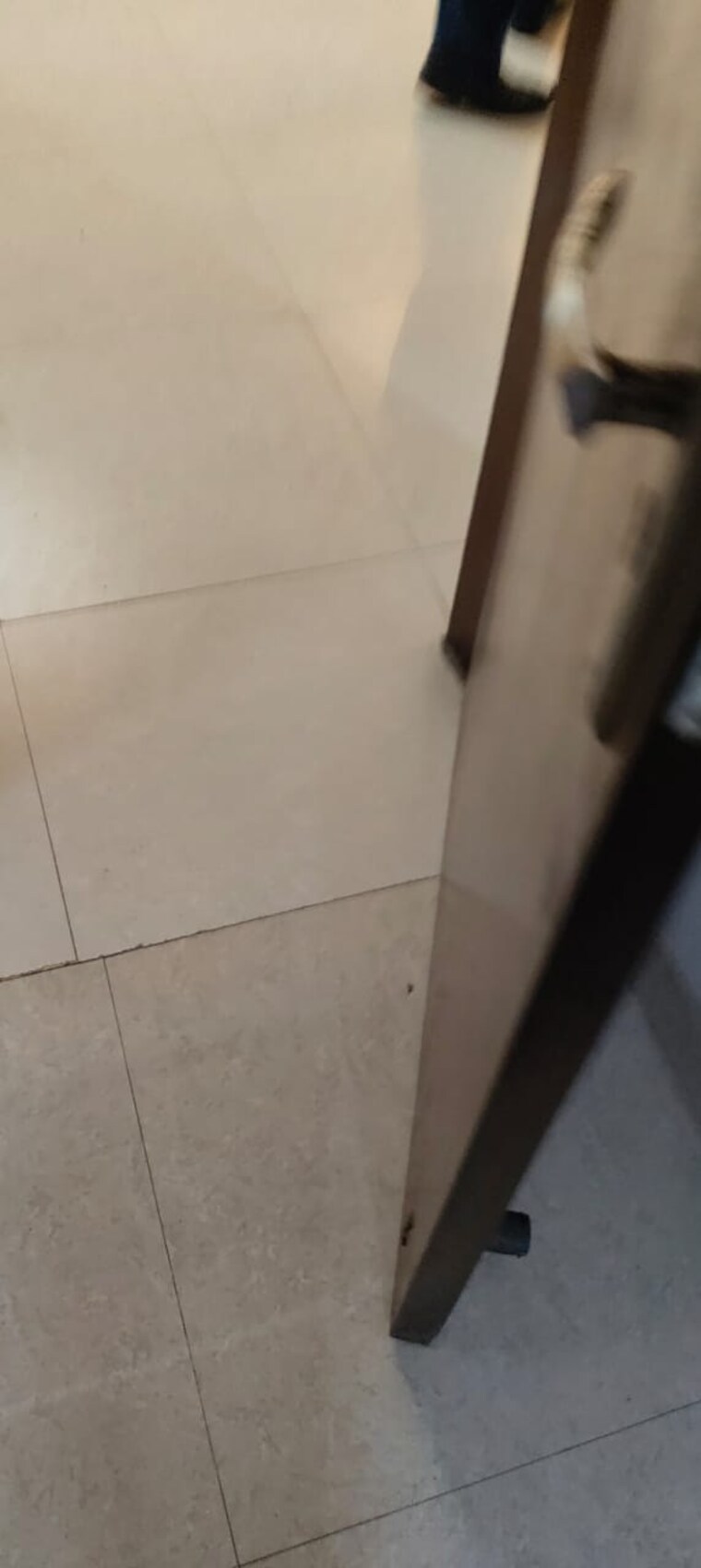 undefined, mayur vihar phase 1 extension 3.5 Bedroom 1450 Sq.Ft. Apartment In Mayur Vihar Phase 1 Extension Delhi 9417764