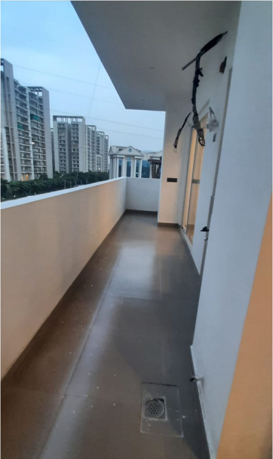 4 BHK Builder Floor For Sale in Sector 81