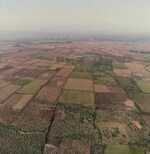 10000 Sq.Ft. Plot in Panvel