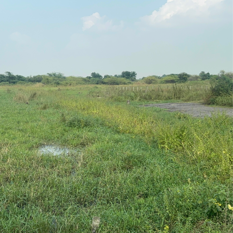 undefined, edupugallu  201 Sq.Yd. Plot In Edupugallu Vijayawada 9418476