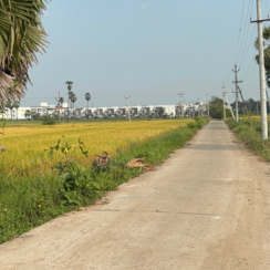 Plot For Sale in Edupugallu
