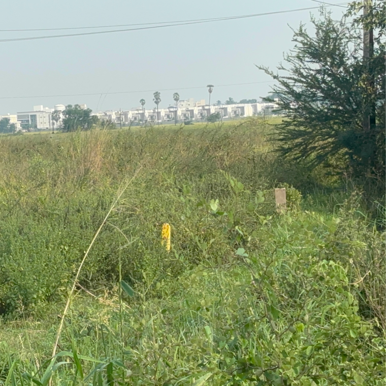 undefined, edupugallu  201 Sq.Yd. Plot In Edupugallu Vijayawada 9418476
