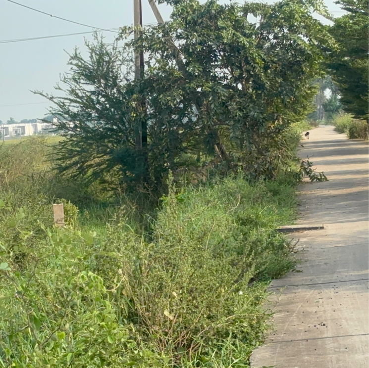 Garden, edupugallu  201 Sq.Yd. Plot In Edupugallu Vijayawada 9418476