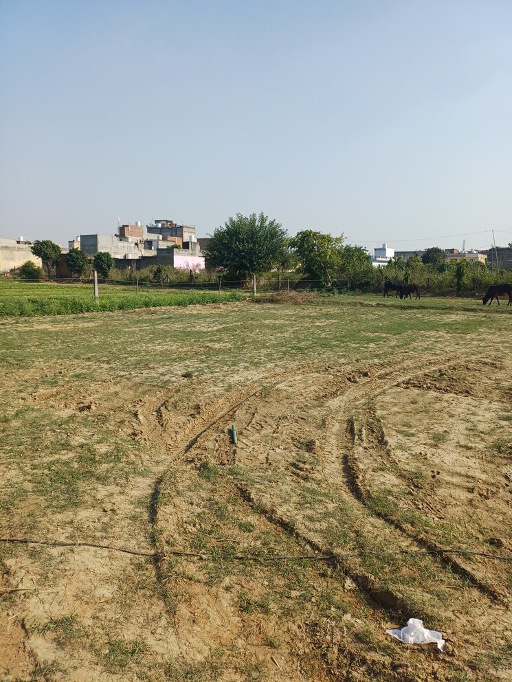 Garden, palla  71 Sq.Yd. Plot In Palla Faridabad 9418632