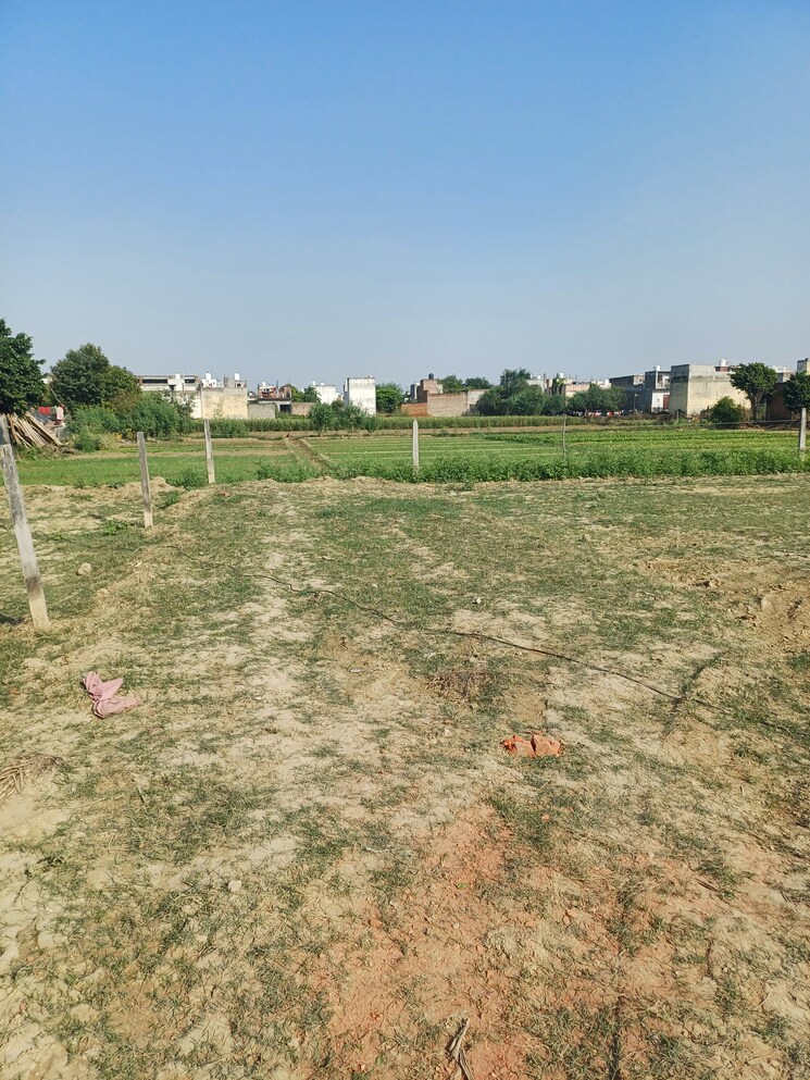Exterior View, palla  72 Sq.Yd. Plot In Palla Faridabad 9418644