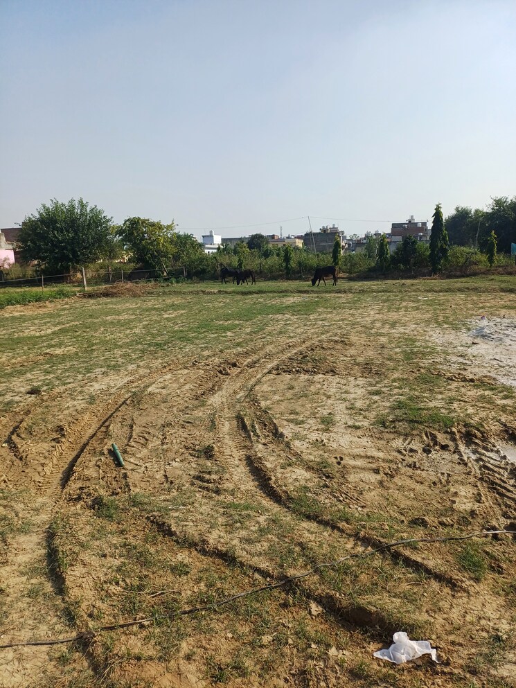Garden, palla  72 Sq.Yd. Plot In Palla Faridabad 9418644