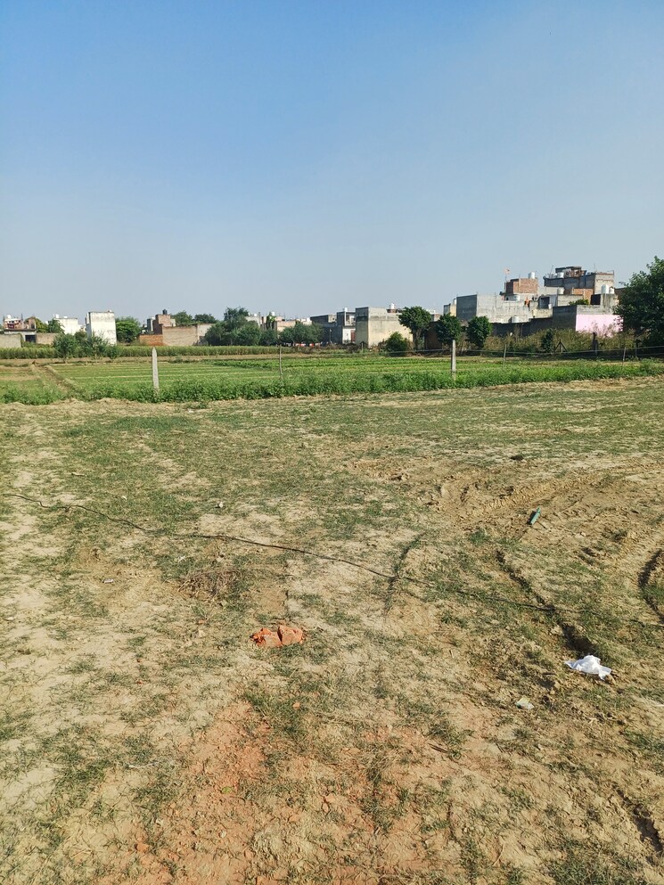 Exterior View, palla  72 Sq.Yd. Plot In Palla Faridabad 9418644
