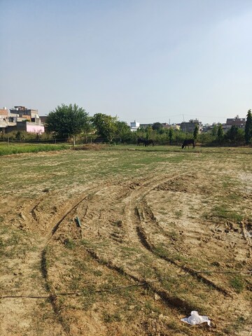  Plot – Garden View at Palla - for Sale