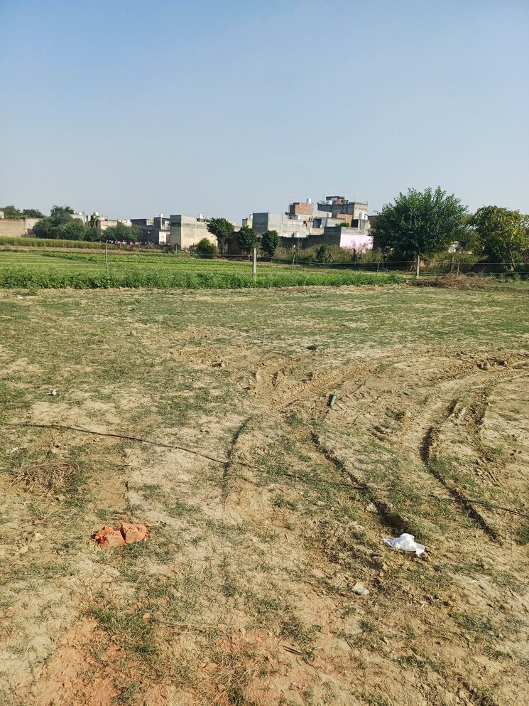 Exterior View, palla  73 Sq.Yd. Plot In Palla Faridabad 9418647