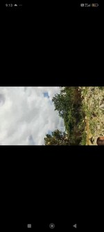 300 Sq.Yd. Plot in Kondapur