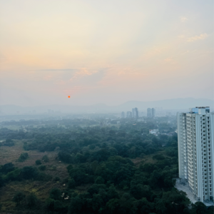 1.5 BHK Apartment For Rent in Runwal My City Phase II Cluster 05, Usarghar Gaon