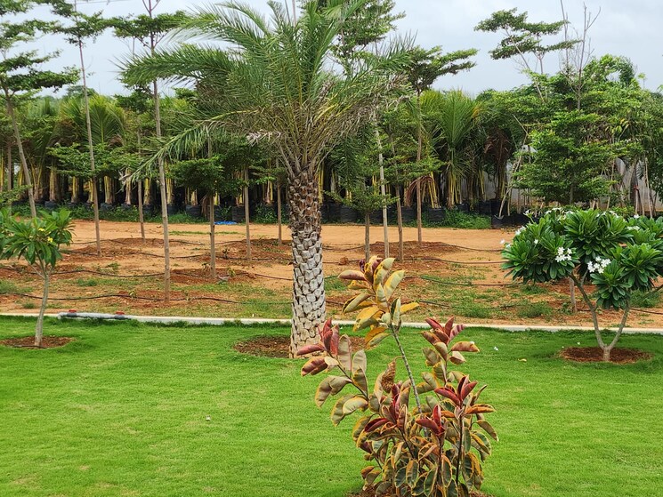 Garden, indresham  151 Sq.Yd. Plot In Indresham Hyderabad 9418758