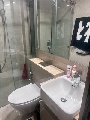 Bathroom in 1 BHK Apartment at Hiranandani Regent Hill, Powai – for Rent