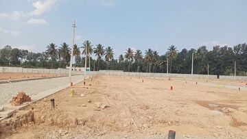  Land For Sale in Caosa Orchard, Sadashiva Nagar