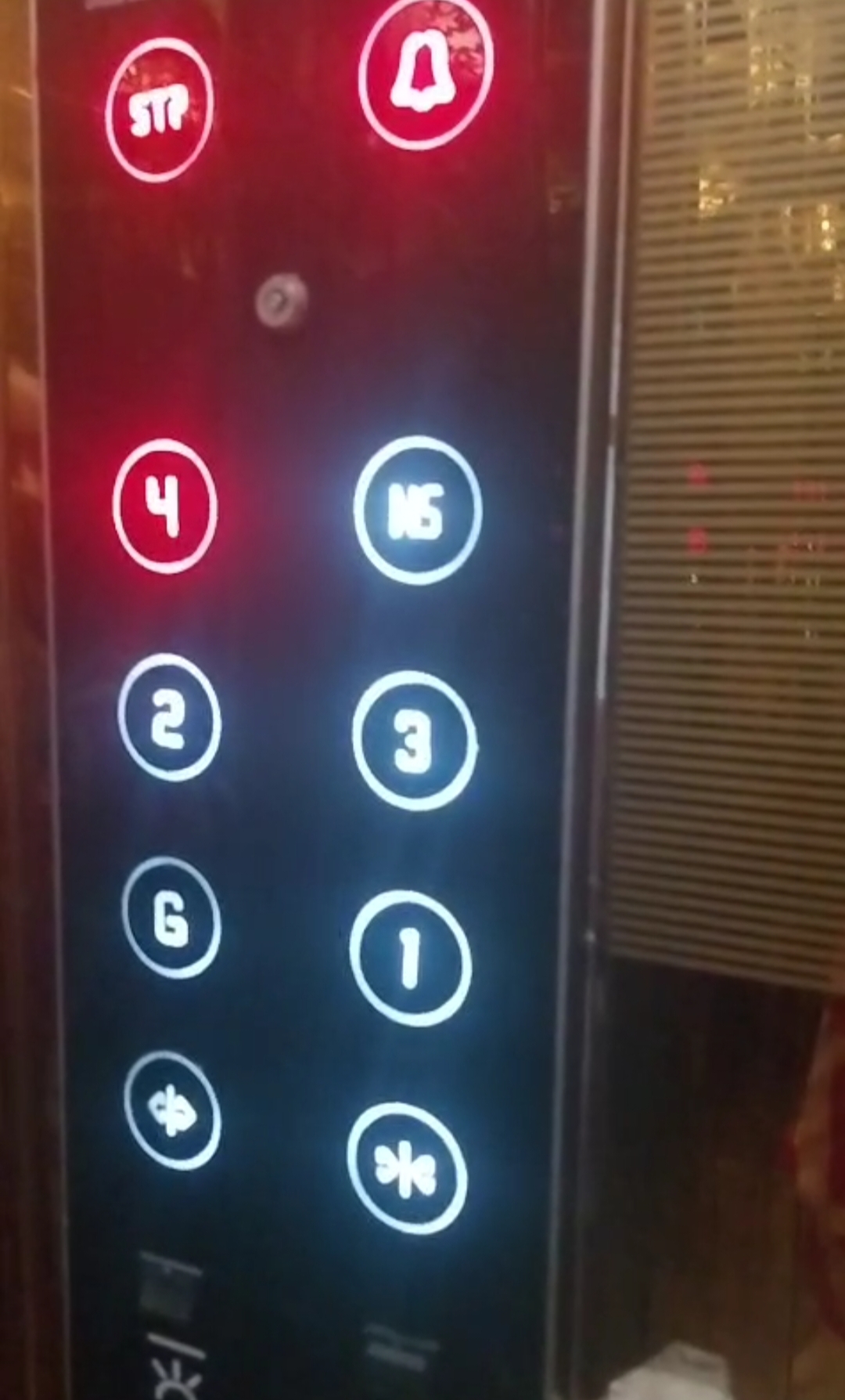 2.5 BHK Builder Floor For Rent in Pandav Nagar 