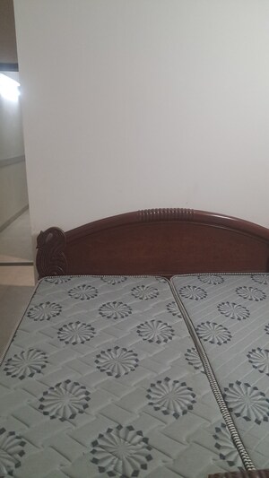 2 BHK Apartment For Rent in Malviya Nagar
