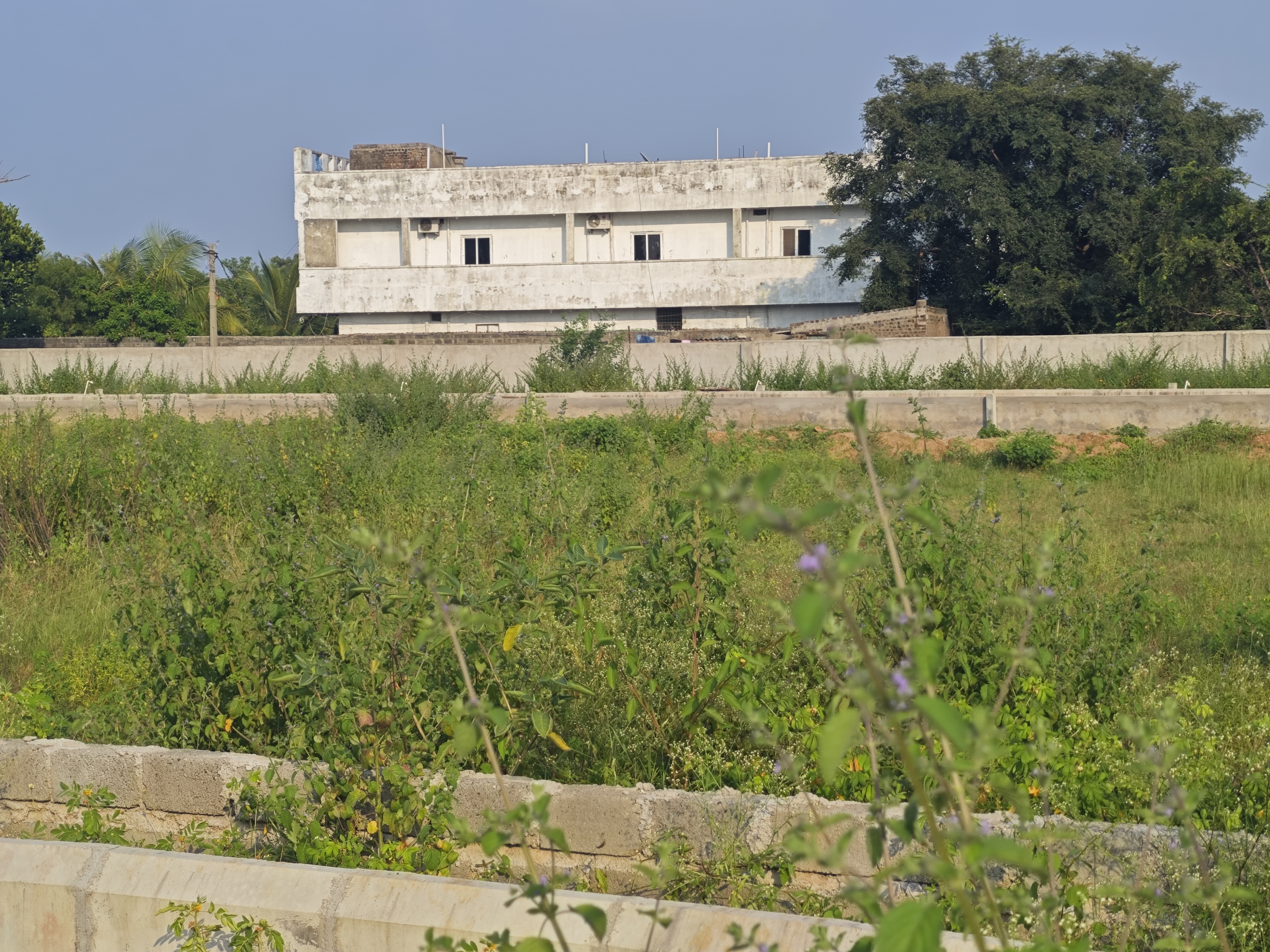 Plot For Sale in Sb Projects 