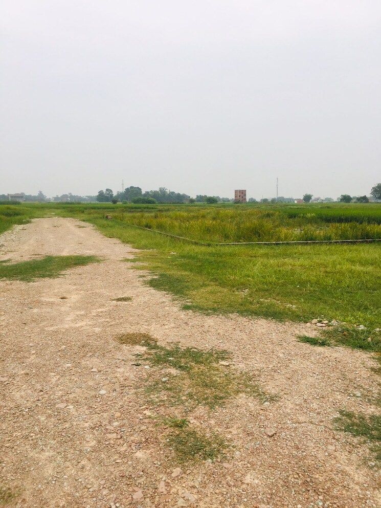undefined, ramnagar  1258 Sq.Ft. Plot In Ramnagar Varanasi 9419036