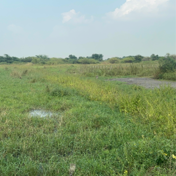 Plot Area in  Plot at Edupugallu – for Sale