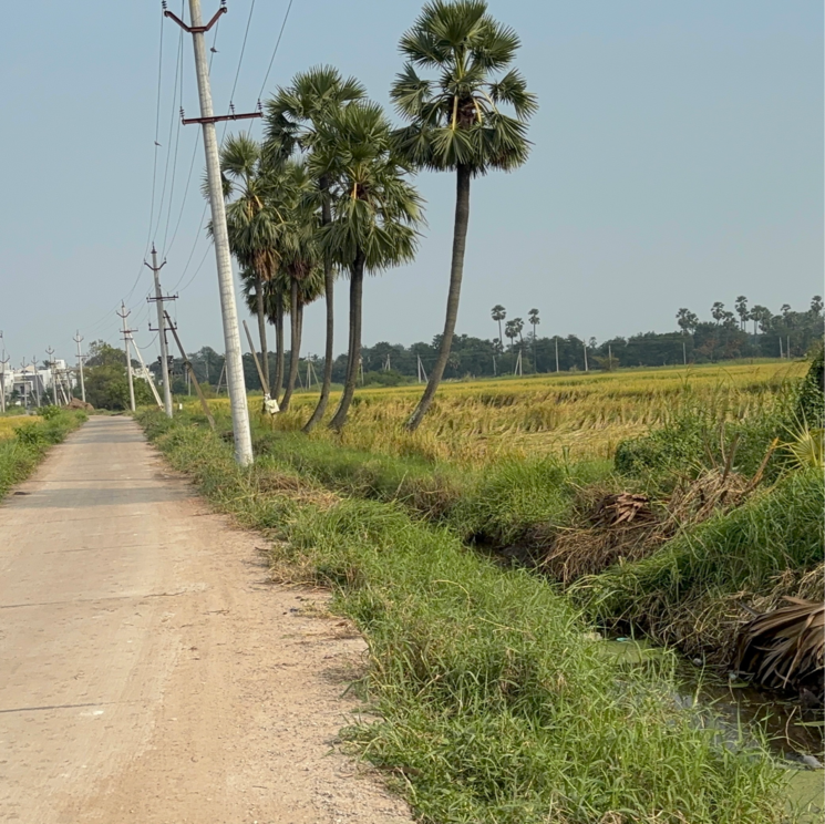 undefined, edupugallu  202 Sq.Yd. Plot In Edupugallu Vijayawada 9419057