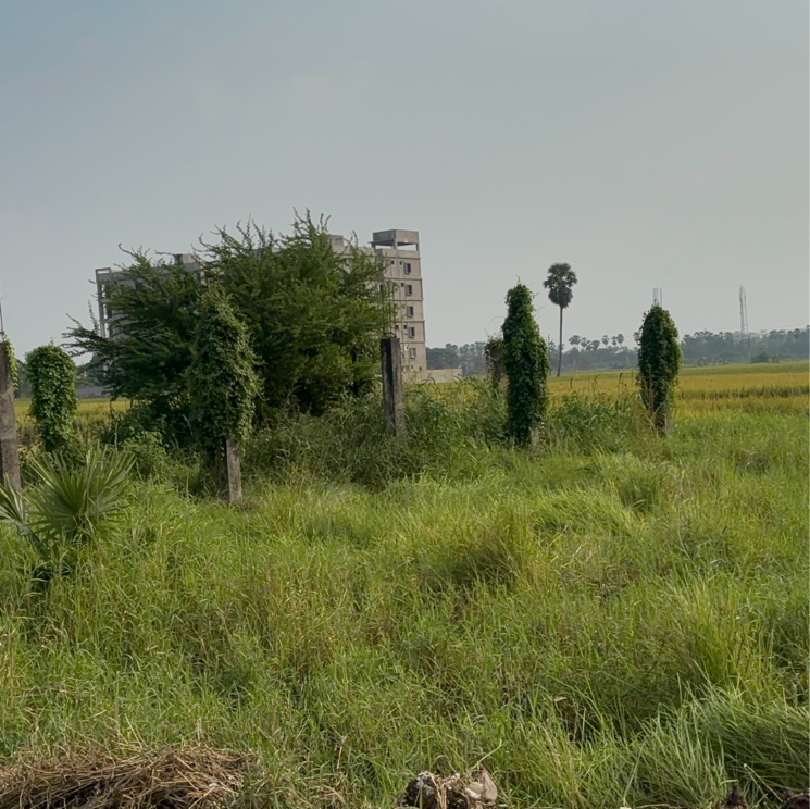 undefined, edupugallu  202 Sq.Yd. Plot In Edupugallu Vijayawada 9419057