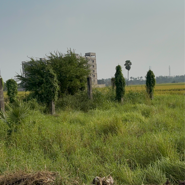 undefined, edupugallu  202 Sq.Yd. Plot In Edupugallu Vijayawada 9419057