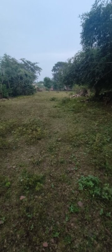 Plot Area in  Plot at Silpahri – for Sale