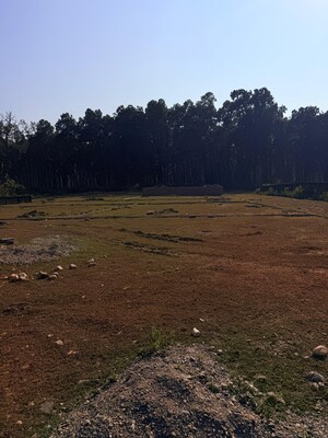 Plot Area in  Plot at Sherpur – for Sale