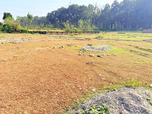 Plot Area in  Plot at Sherpur – for Sale