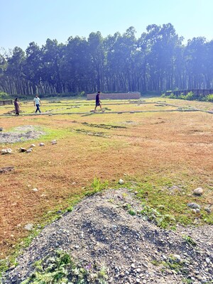  Plot For Sale in Sherpur