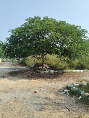 Plot Area in  Plot at Bithoor – for Sale