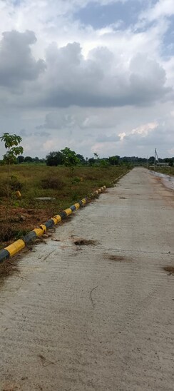 Plot For Sale in Fortune Butterfly City
