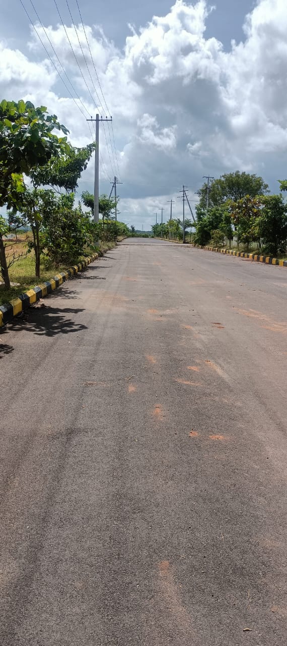 Plot For Sale in Fortune Butterfly City