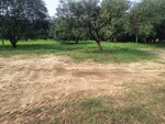 480 Sq.Ft. Plot in Kanpur Road