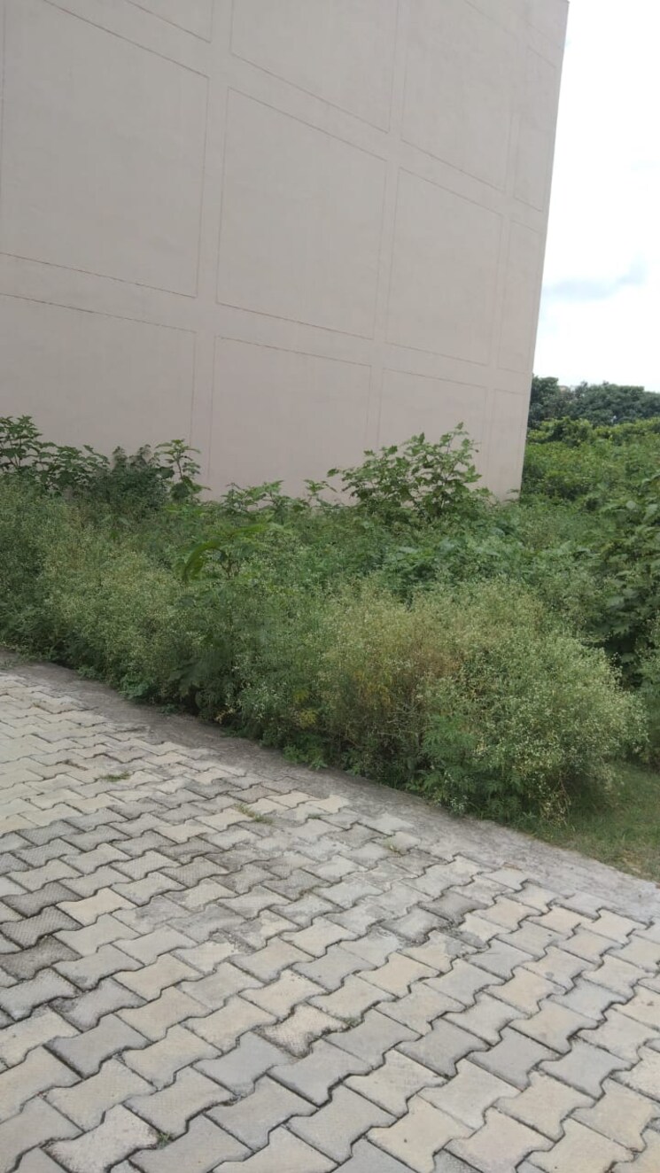 undefined, mb-homes  145 Sq.Yd. Plot In Amwala Uparla Dehradun 9420457