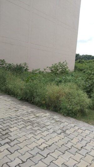 Plot Area in  Plot at MB Homes, Amwala Uparla – for Sale