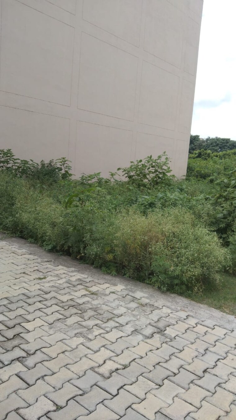 undefined, mb-homes  145 Sq.Yd. Plot In Amwala Uparla Dehradun 9420457