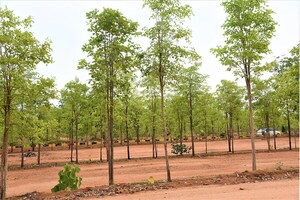 Plot Area in  Plot at JSR Suncity Opal, Kolanpaka – for Sale