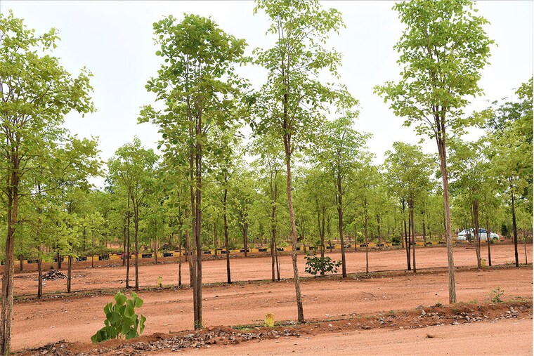 undefined, jsr-suncity-opal  101 Sq.Yd. Plot In Kolanpaka Alair 9420935