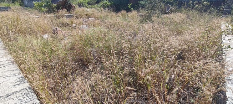 undefined, rajendra nagar  600 Sq.Yd. Plot In Rajendra Nagar Hyderabad 9421319