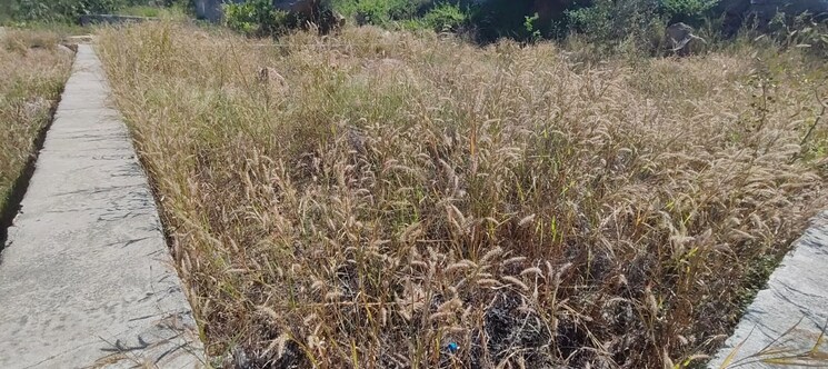 undefined, rajendra nagar  600 Sq.Yd. Plot In Rajendra Nagar Hyderabad 9421319