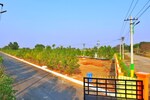 108 Sq.Yd. Plot in JSR Suncity Opal