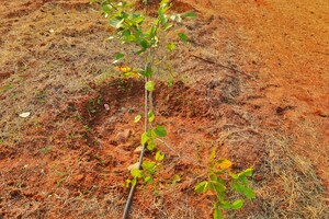 Plot Area in  Plot at JSR Suncity Opal, Kolanpaka – for Sale