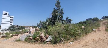 Plot Area in  Plot at Rajendra Nagar – for Sale