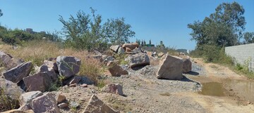 Plot Area in  Plot at Rajendra Nagar – for Sale