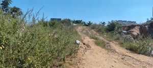 Plot Area in  Plot at Rajendra Nagar – for Sale