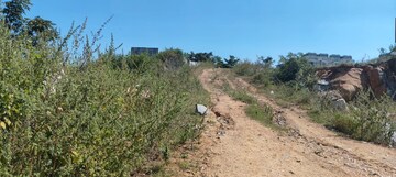 Plot Area in  Plot at Rajendra Nagar – for Sale