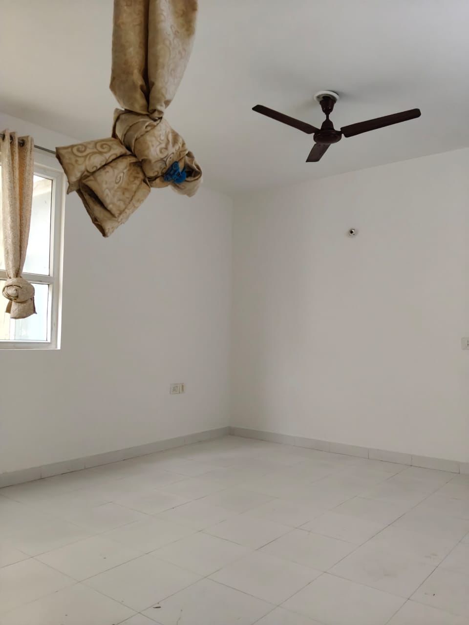 2 BHK Apartment For Rent in Tulip Lemon