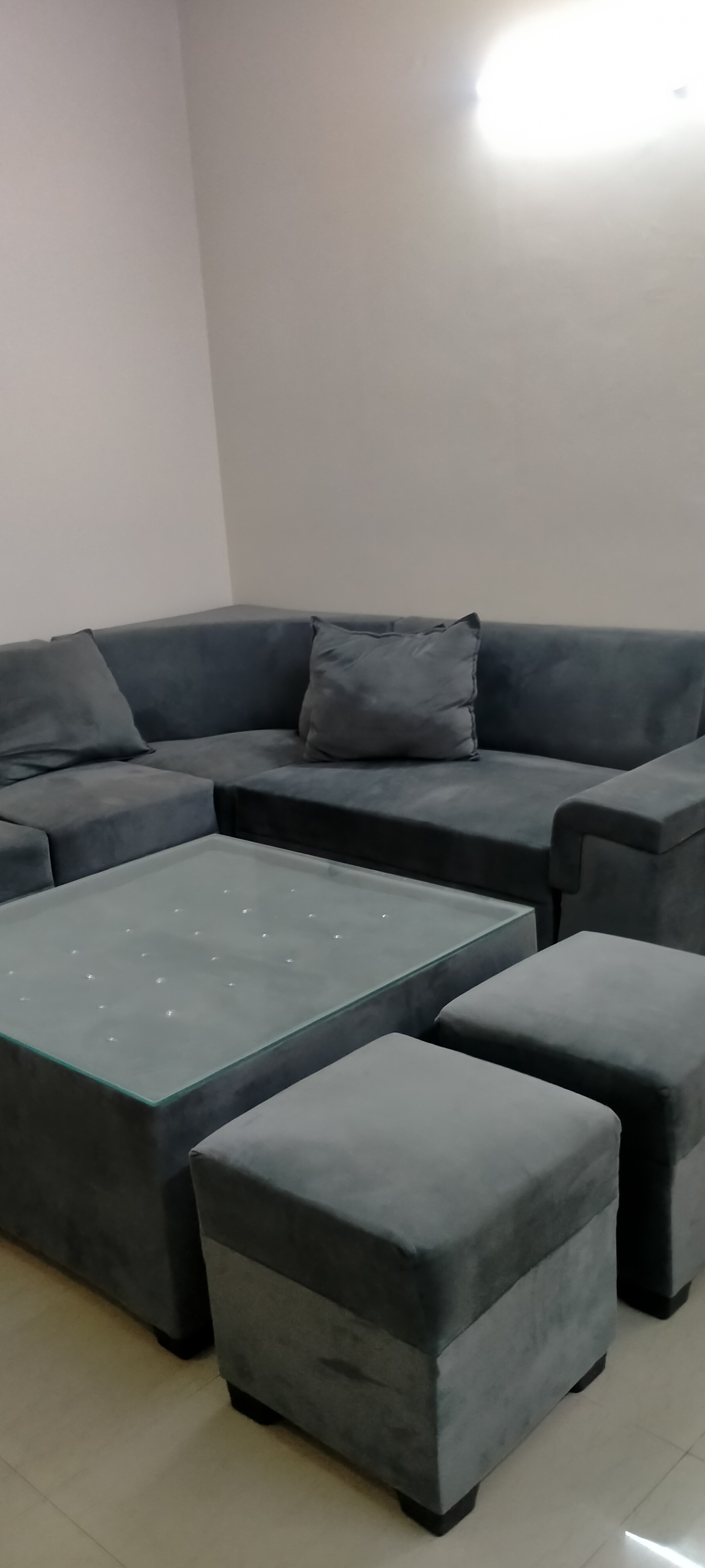 2 BHK Apartment For Rent in Tulip Lemon